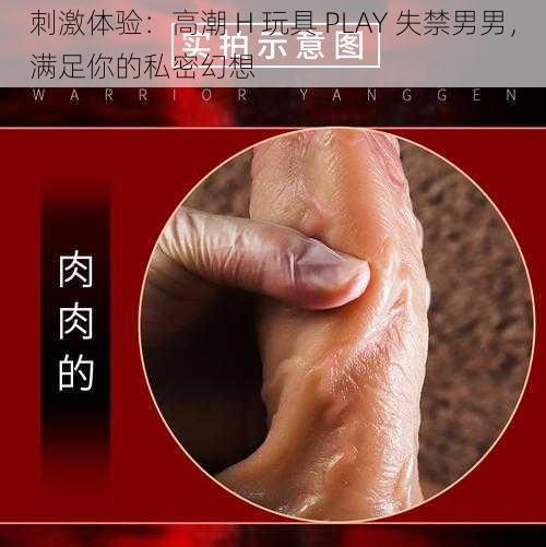 刺激体验：高潮 H 玩具 PLAY 失禁男男，满足你的私密幻想