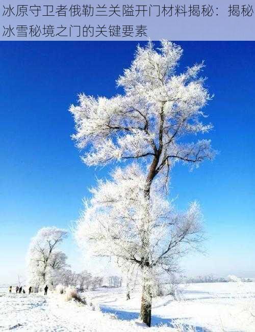 冰原守卫者俄勒兰关隘开门材料揭秘：揭秘冰雪秘境之门的关键要素