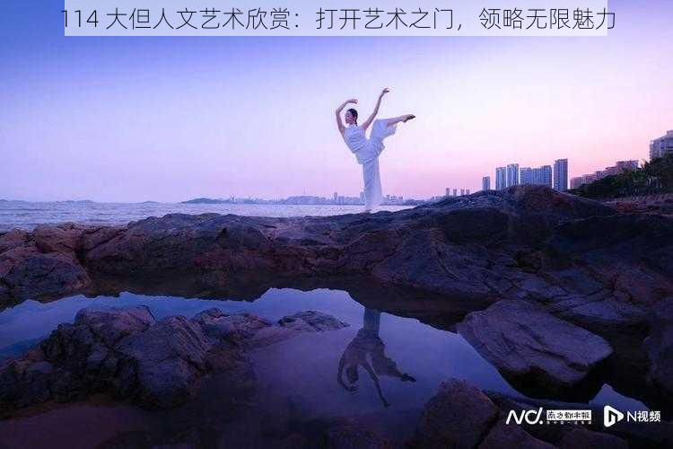 114 大但人文艺术欣赏：打开艺术之门，领略无限魅力